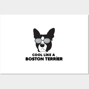 Boston Terrier Pattern in Pink - Cool Like a Boston Terrier Funny Dog Gifts Posters and Art